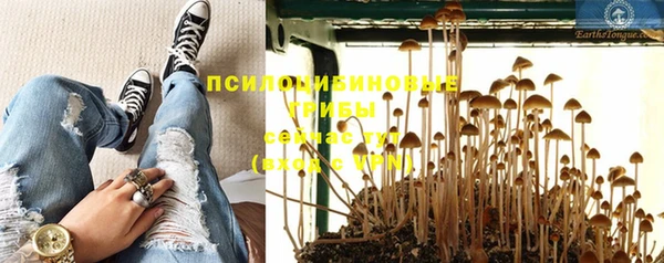 СК Михайловск