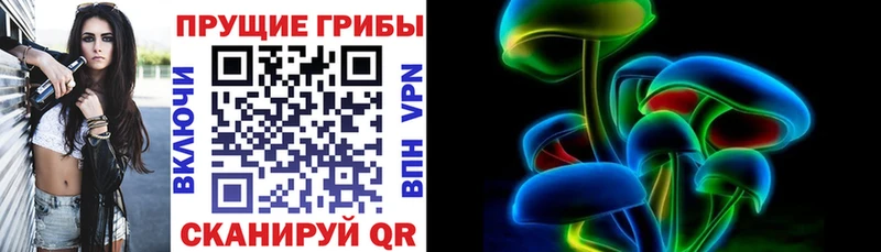 дарк нет официальный сайт купить сайты Алексеевка Галлюциногенные грибы GOLDEN TEACHER